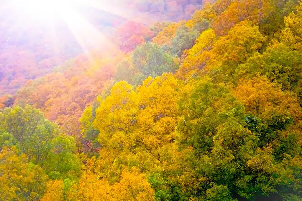 leaf peeping in georgia
